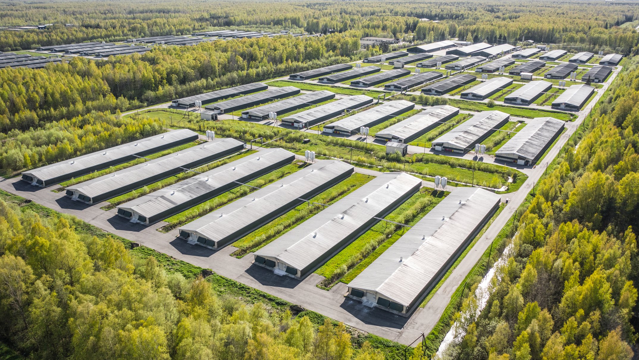 Aerial view of poultry farm